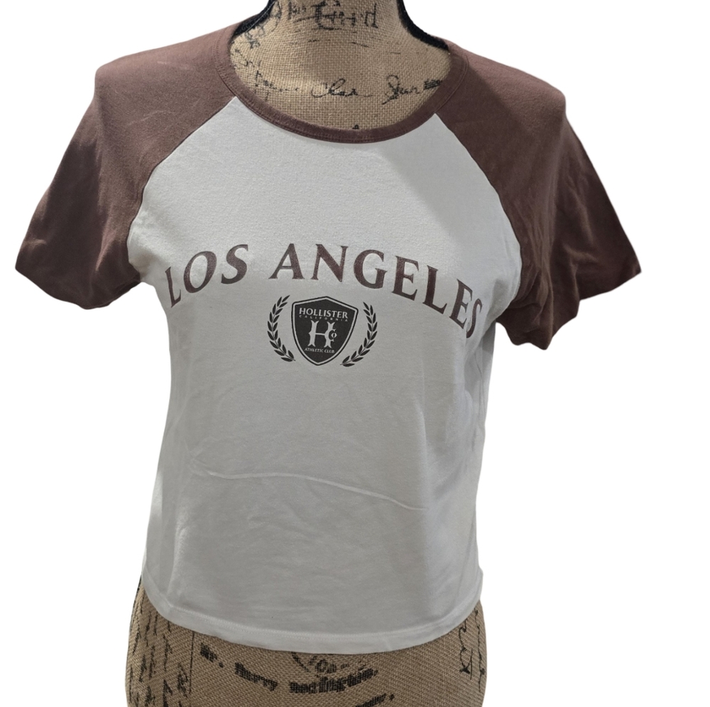 Hollister | Brown & White Raglan Tee | Los Angeles Crest | 100% Cotton | Size L